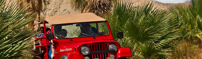 Jeep Eco-Tour