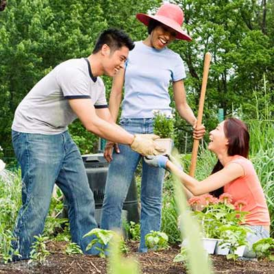 Community Garden Cleanup