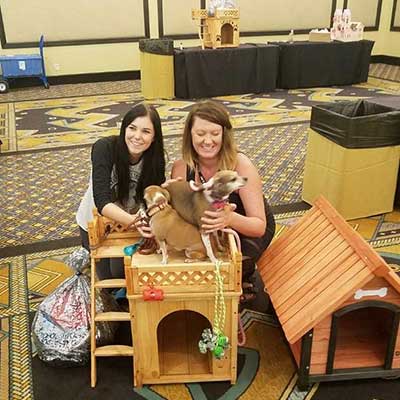 Build a Dog House