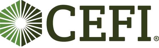 Commercial Equipment Finance, Inc. (CEFI)